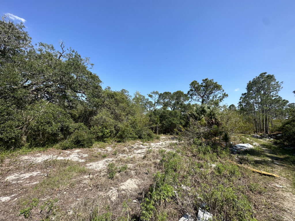 30 Undeveloped Lots Lake Placid and Sebring, Highlands County, Florida