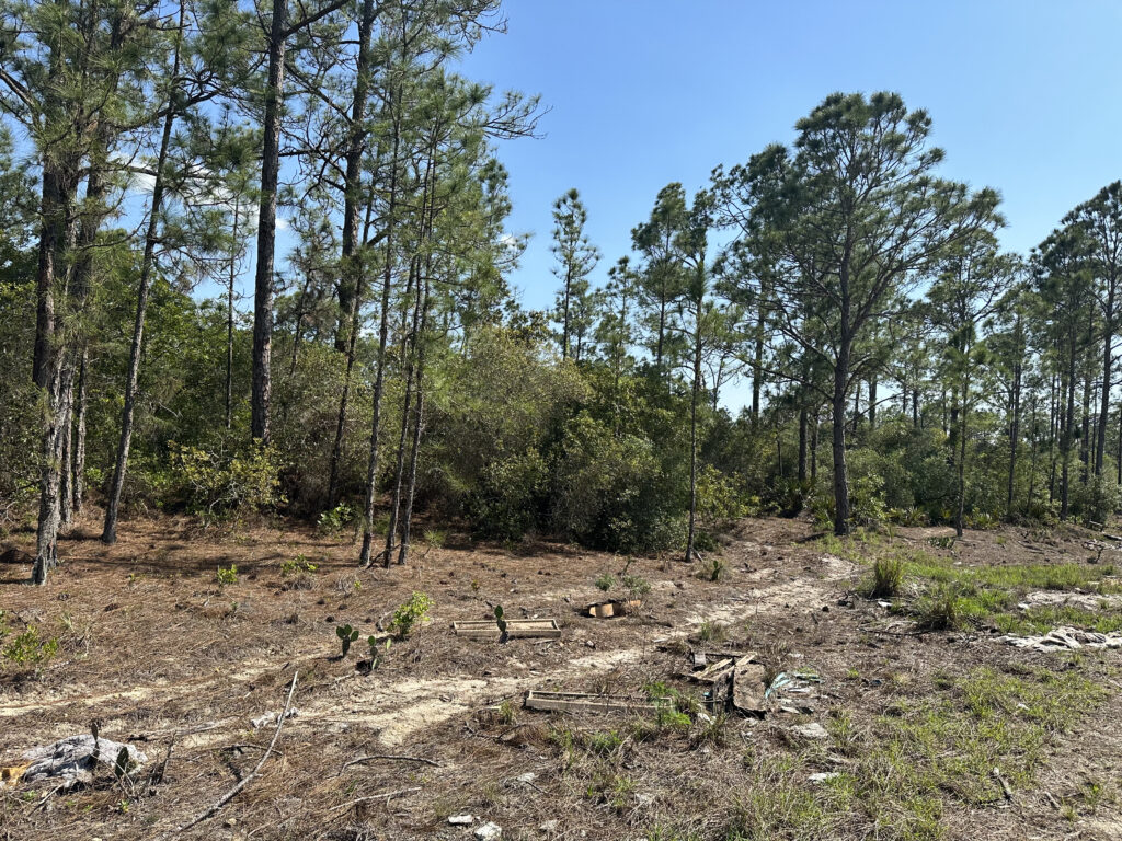 30 Undeveloped Lots Lake Placid and Sebring, Highlands County, Florida