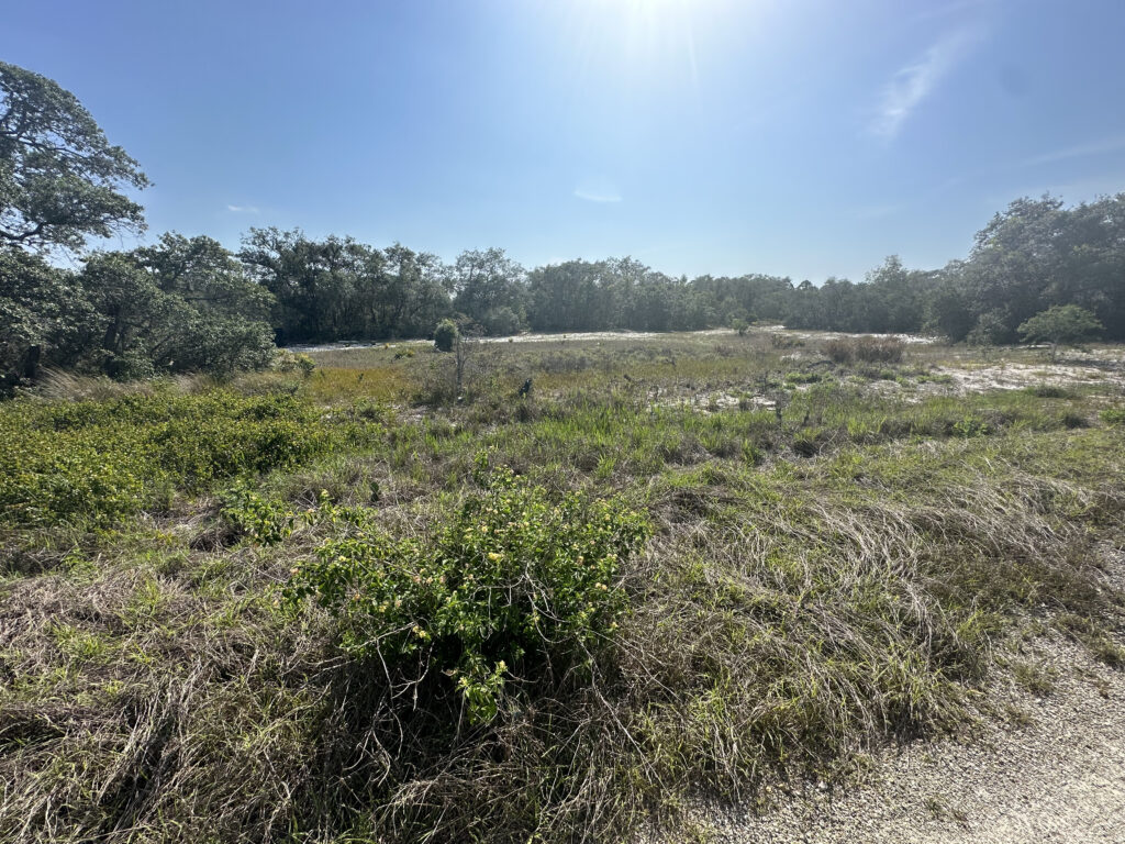 30 Undeveloped Lots Lake Placid and Sebring, Highlands County, Florida