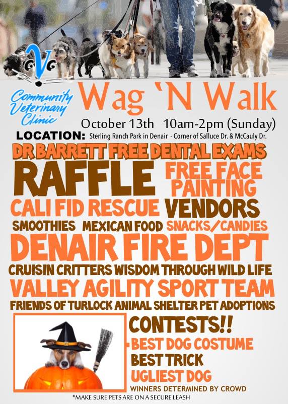 Denair Vendors in the Park