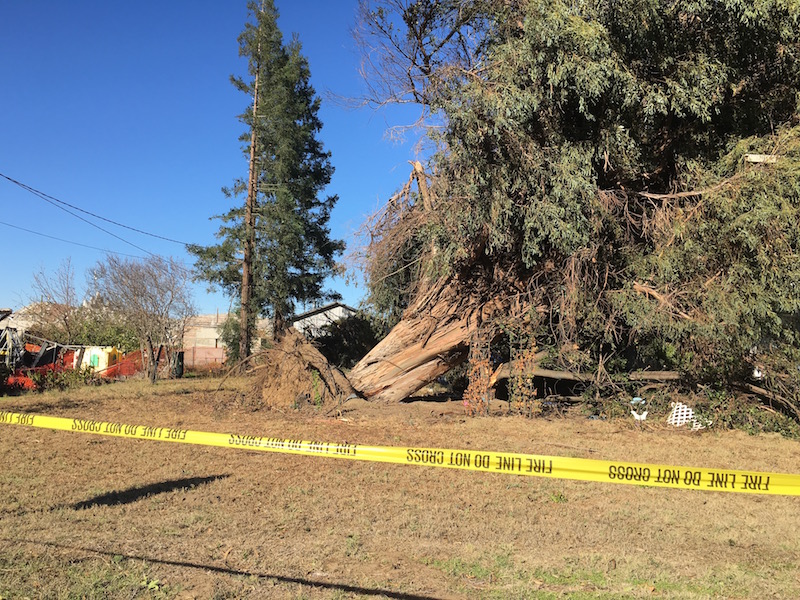 Denair Tornado Damage Photo Gallery