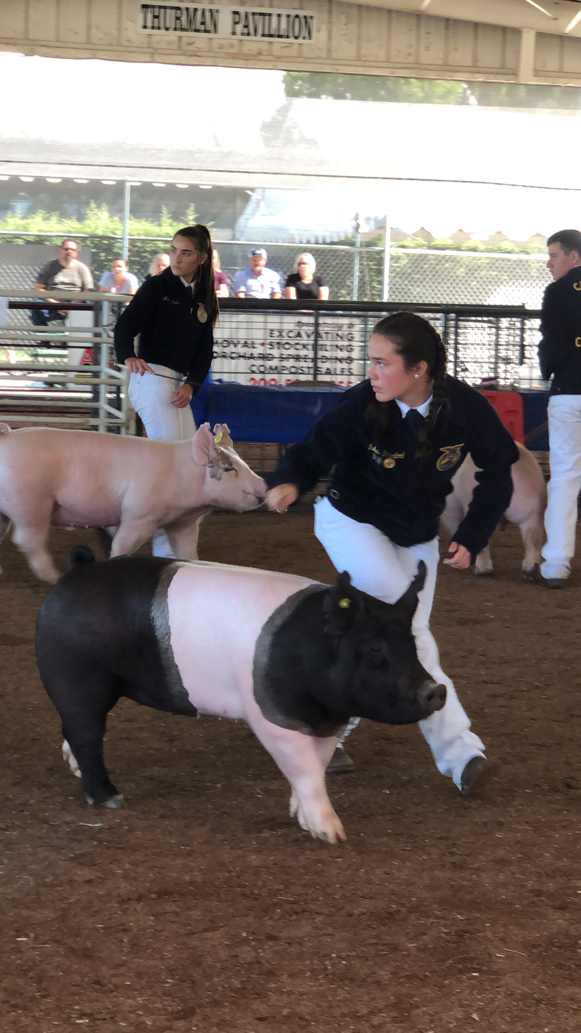 Denair FFA Students Enjoy Success at Stanislaus County Fair
