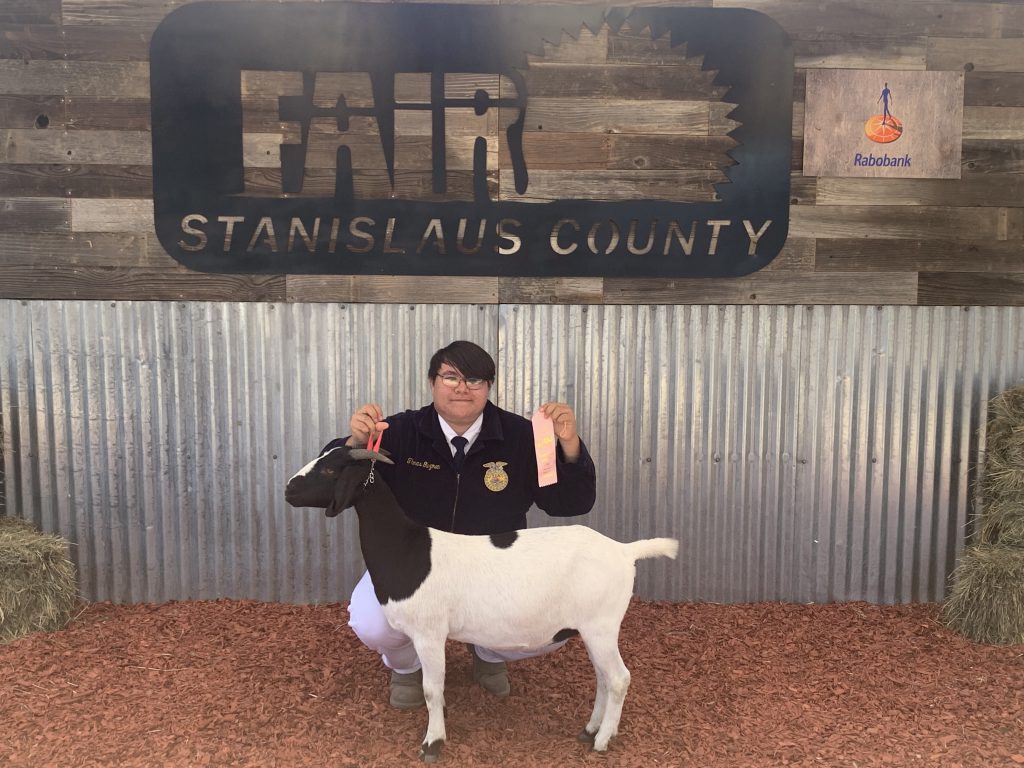 Denair FFA Students Enjoy Success at Stanislaus County Fair