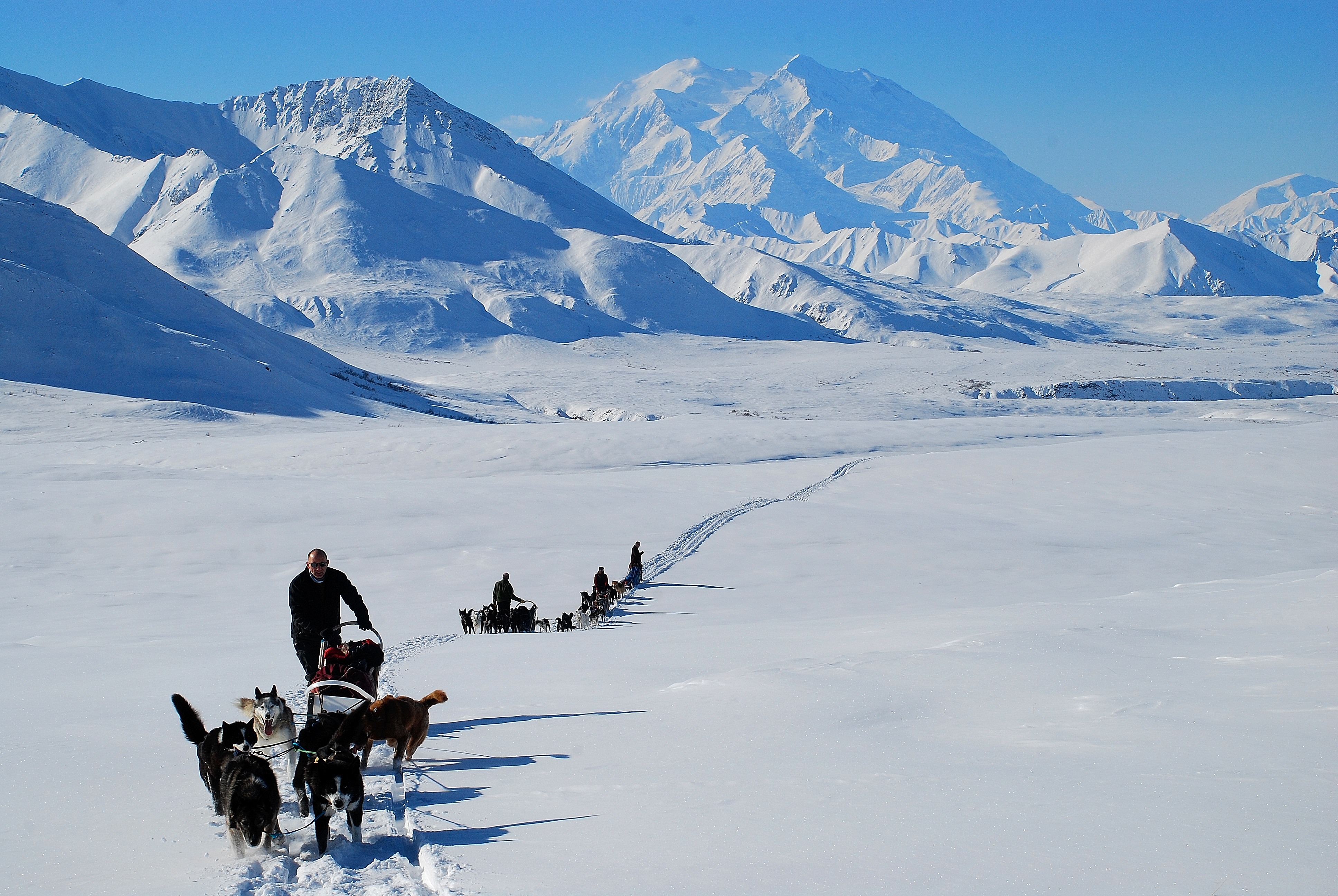 DSC_2999 Denali Dog Sled Tours