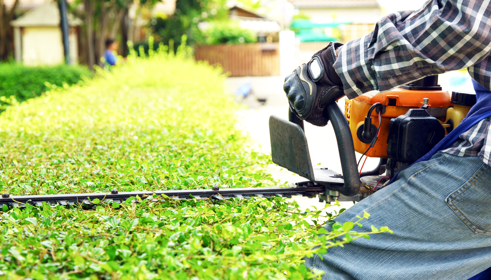 Lawn Services Kanata & Stittsville Denali Lawncare and Snow Removal