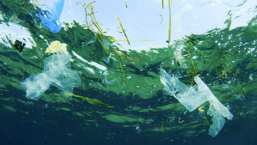 Norden har fået mere fokus på plastik i havene Den Blå