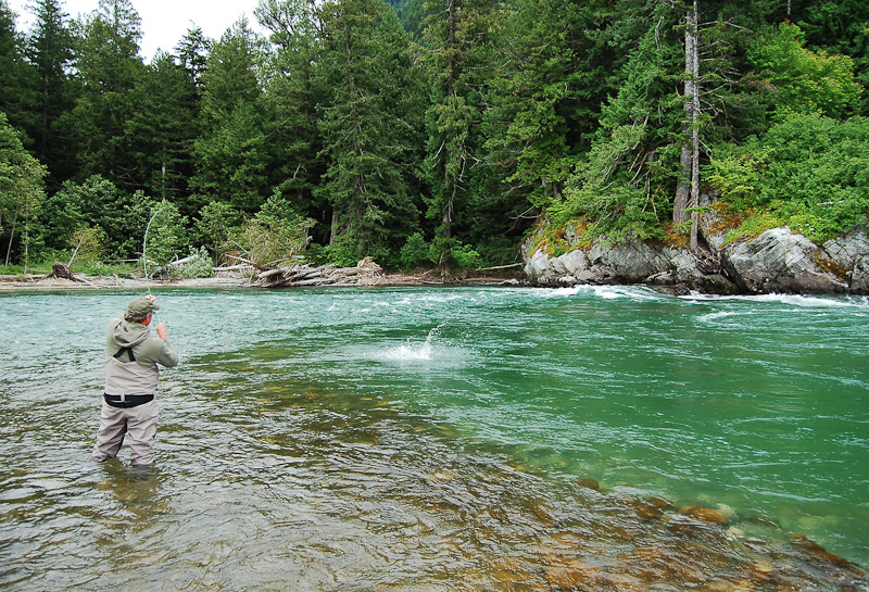 Single Handed Rods Dean River Steelhead