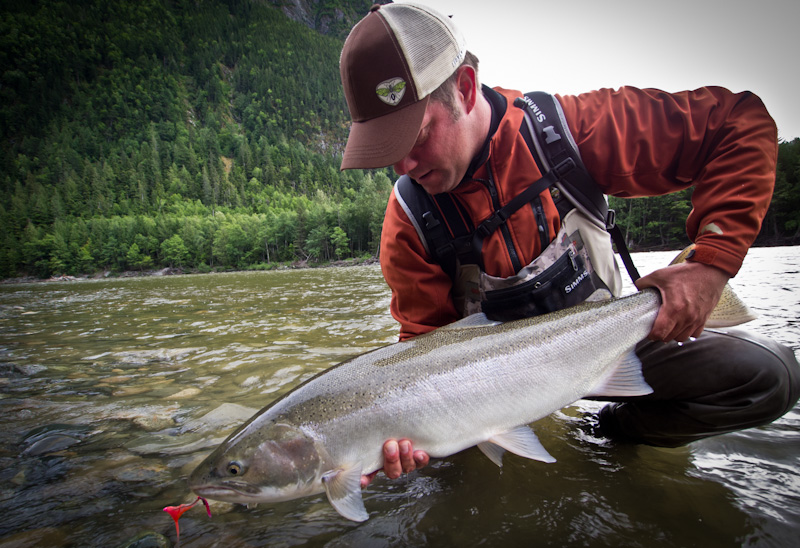 Steelhead Fly Fishing Rig Michael White's Steelhead Rig