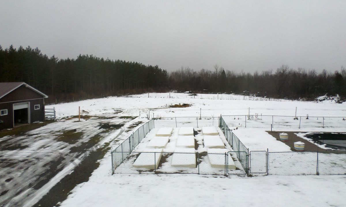 Oxford Mills dans une ferme au Canada