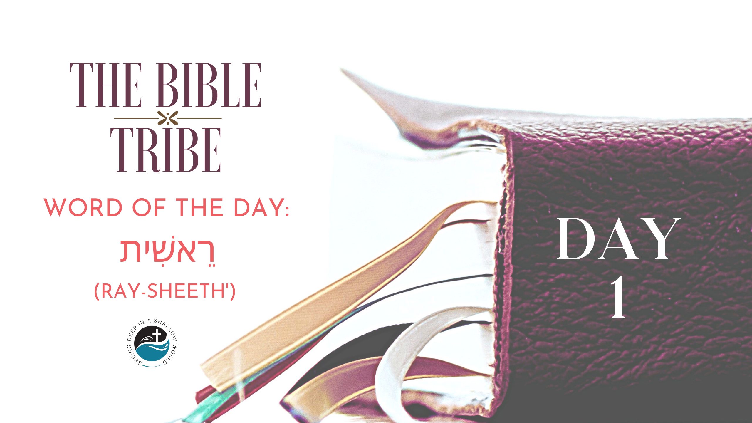 Day 1 Begin Again (Bible Tribe Genesis 14) Denise Pass