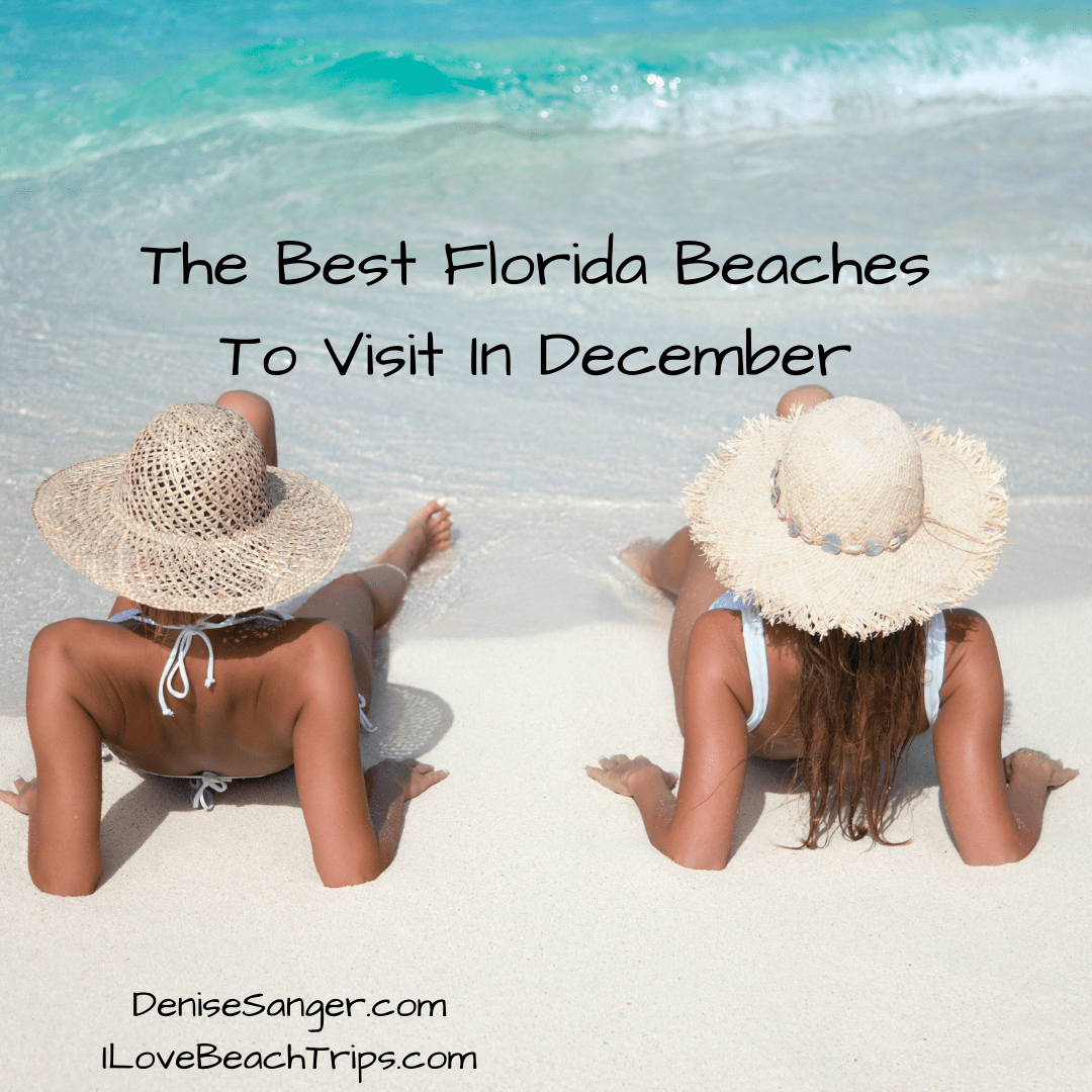 Discover the Best Places to Visit in Florida in December Solo Travel