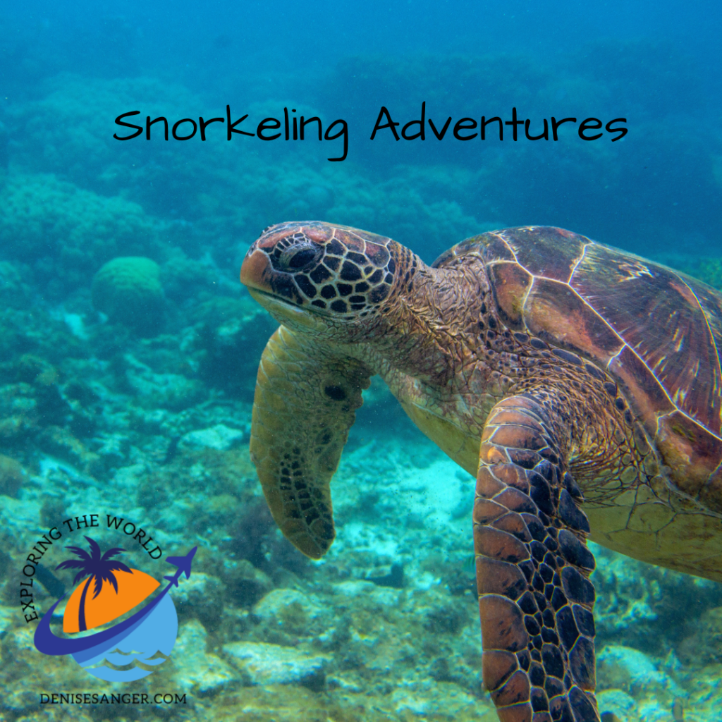 Fun with Peanut Island Florida snorkeling. Florida Trips For Women