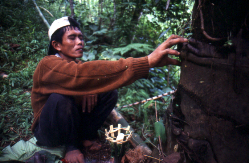 NYI POHACI HIDEUNG SANTEN Deni Sugandi