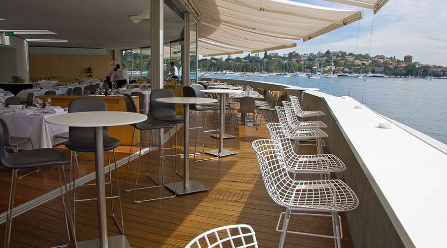 Catalina Rose Bay