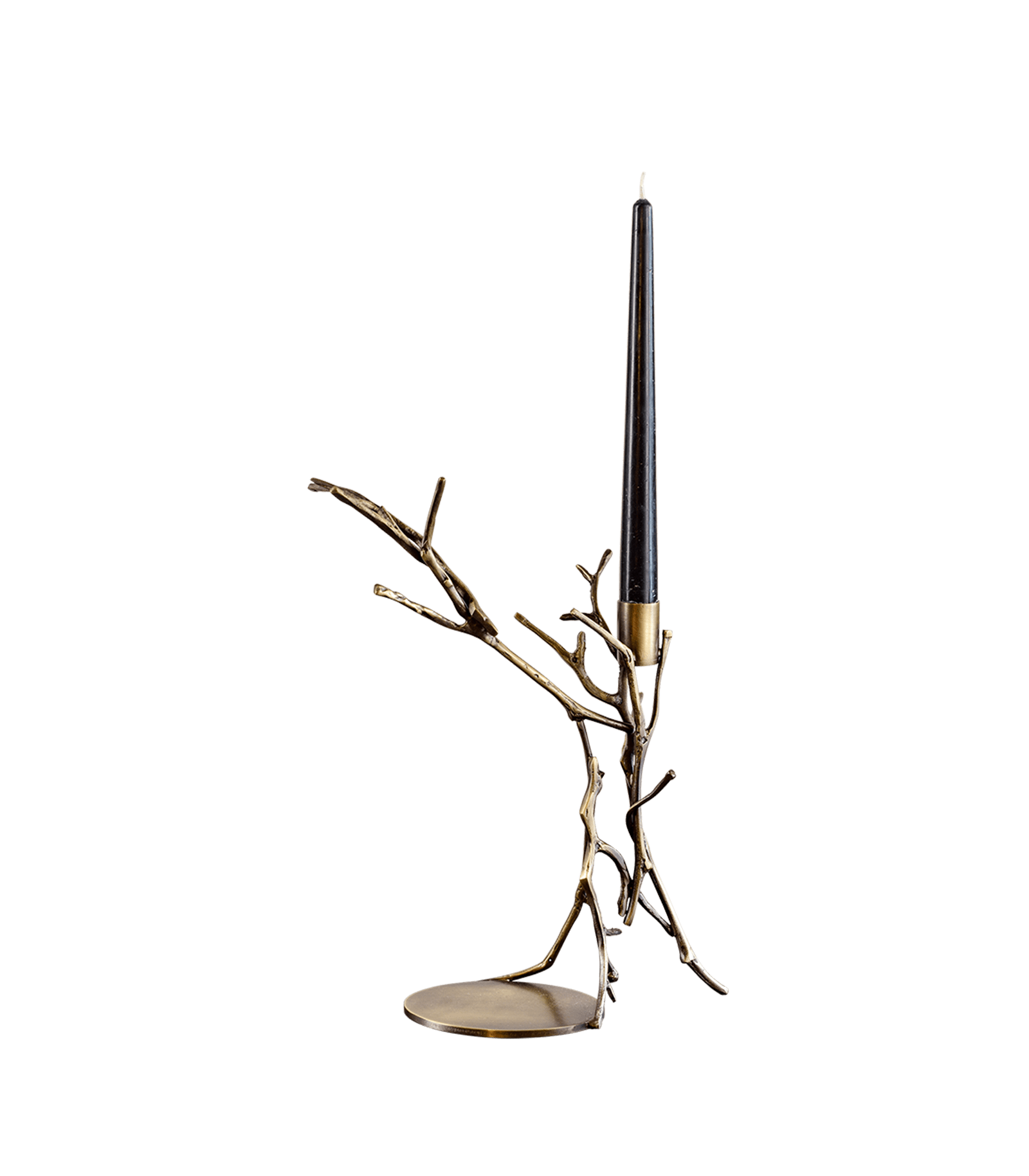 BRANCHY Deniz Tunc Design