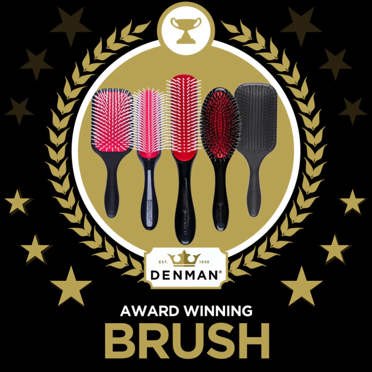 More Awards for Denman! Award Winning Hair Brush Denman Denman UK