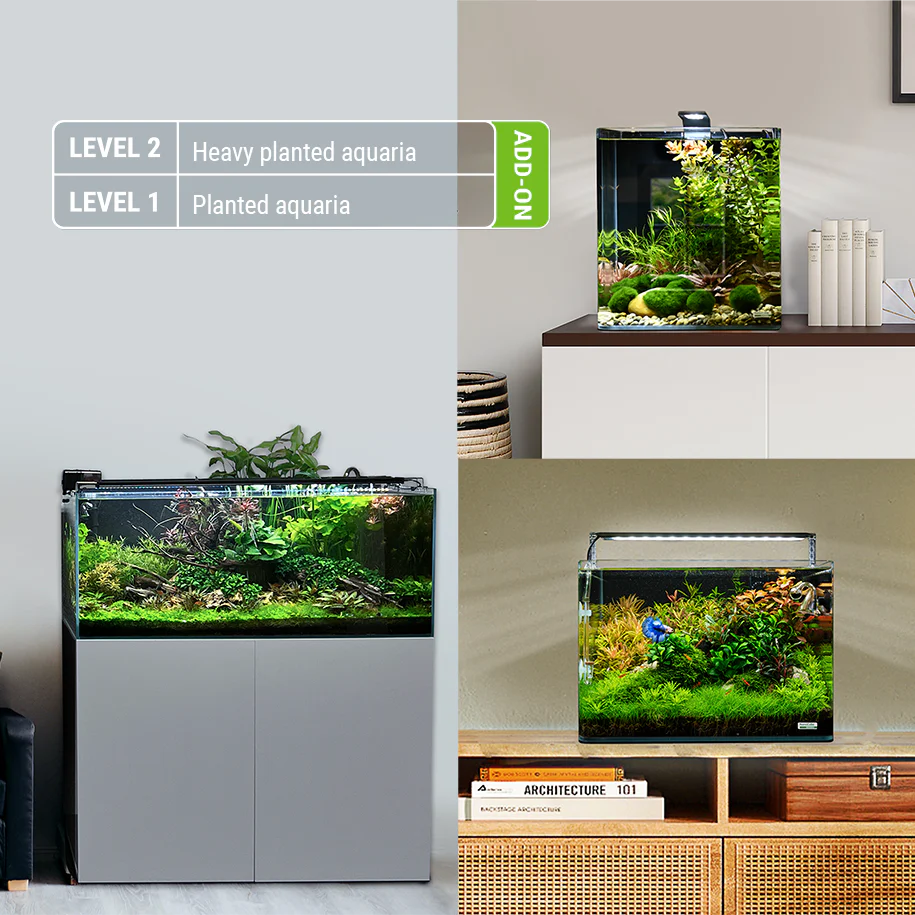 Dennerle Plant Active Enzymes growth enhancer for aquarium plants