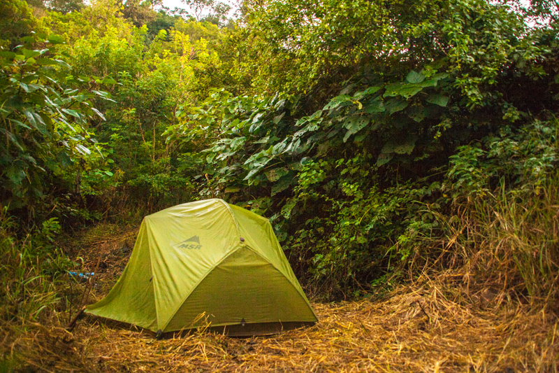 wetwildcamp DennersHQ