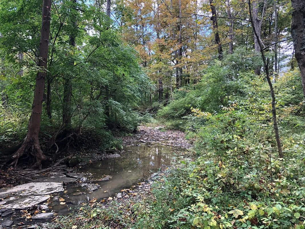 Trailside Village Custom Homes in Green Township, Ohio Dennis Ott
