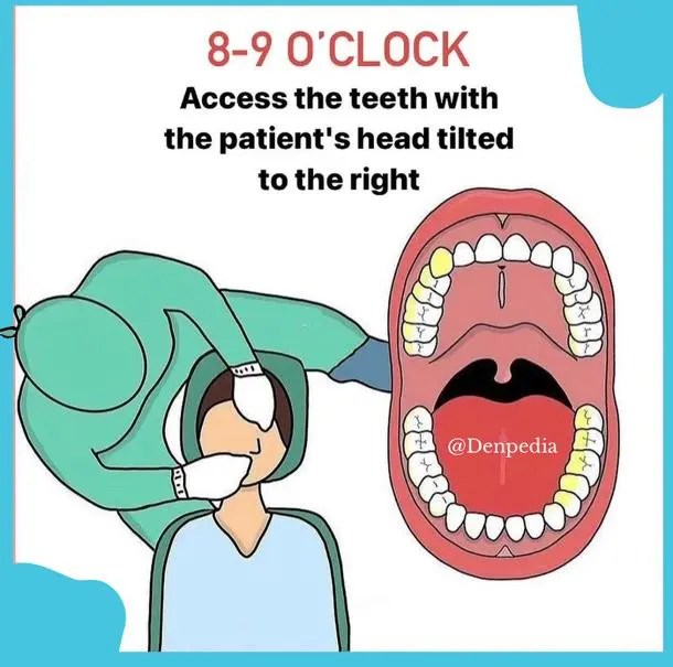 Ergonomics in Dentistry Enhancing Health and Efficiency