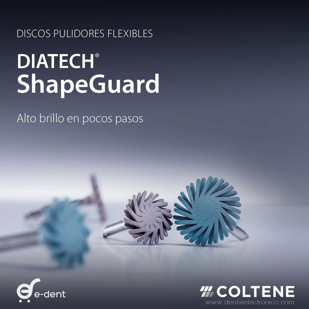 DIATECH ShapeGuard Kit edent