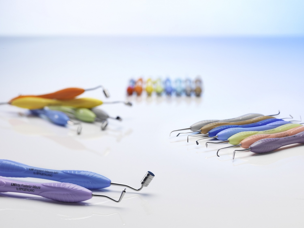 LM Dental DentalServis