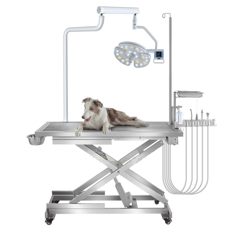Pod Integra Dental Table Veterinary Dental Supplies
