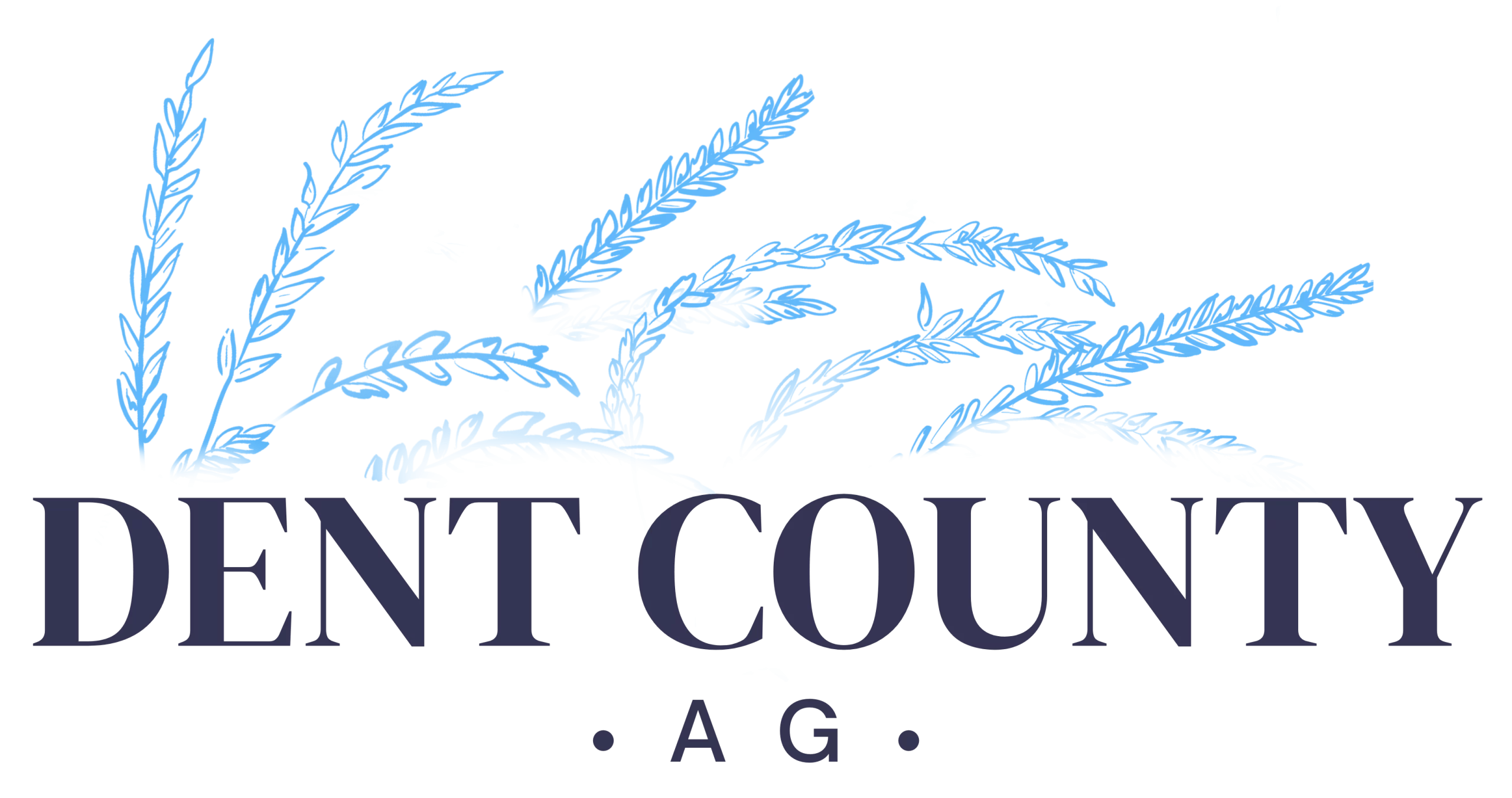 Contact Dent County Farm Supply & Ag