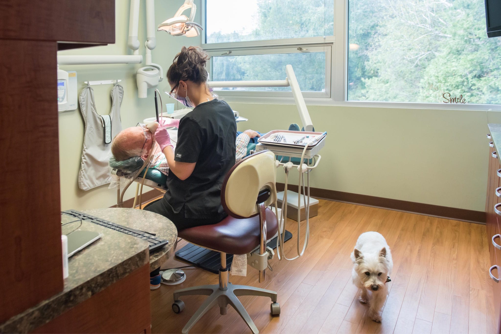 About the Practice » Briarcliff Manor Dentist Dr. Howard Gordon