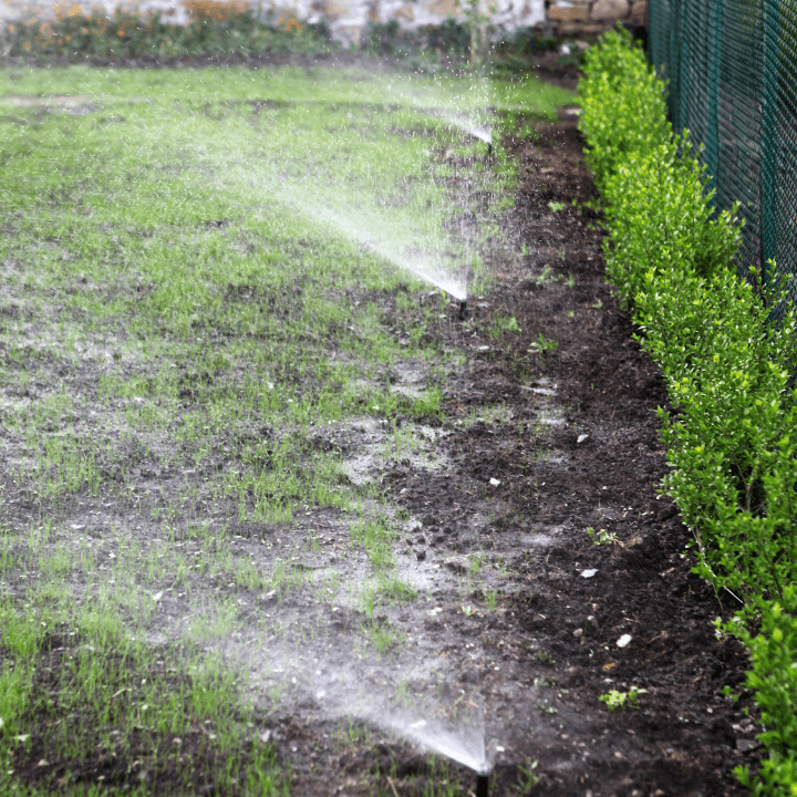 Sprinkler and Irrigation Repair Sprinkler Head Replacement