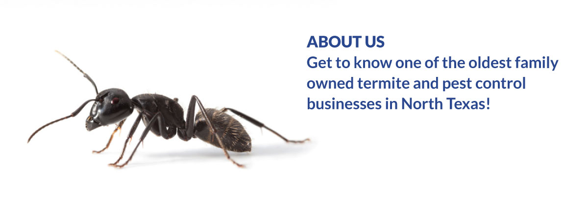 Pest Control in Murfreesboro TN First Response Pest Control