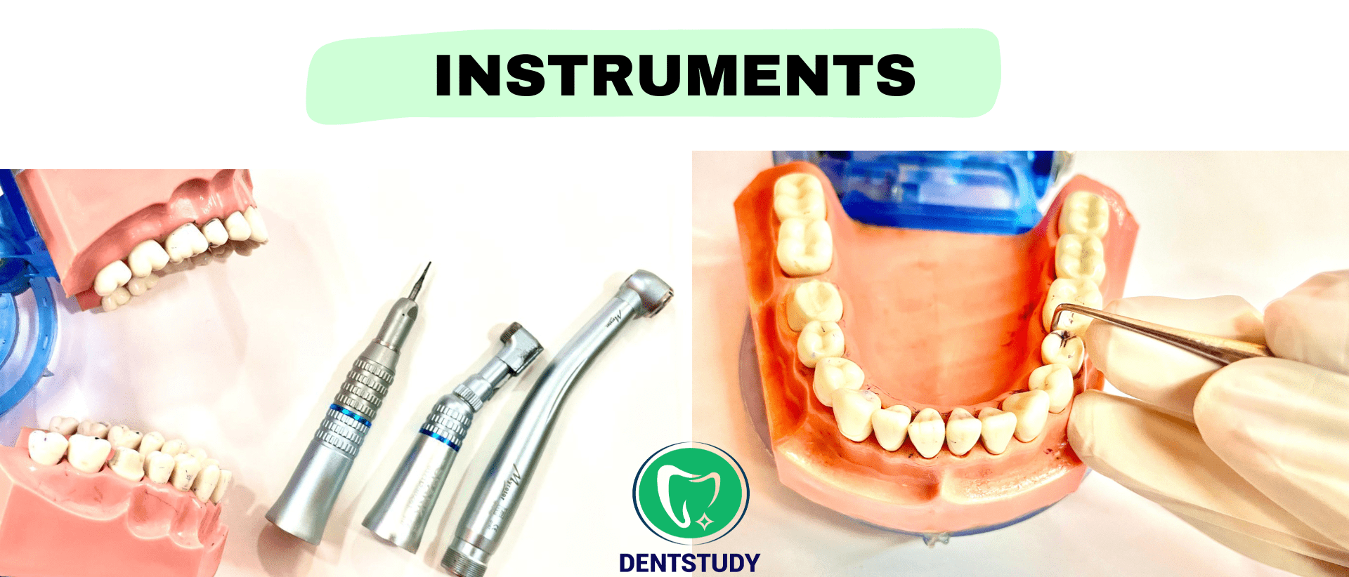 IMPORTANT VIVA QUESTIONS Dentstudy.co