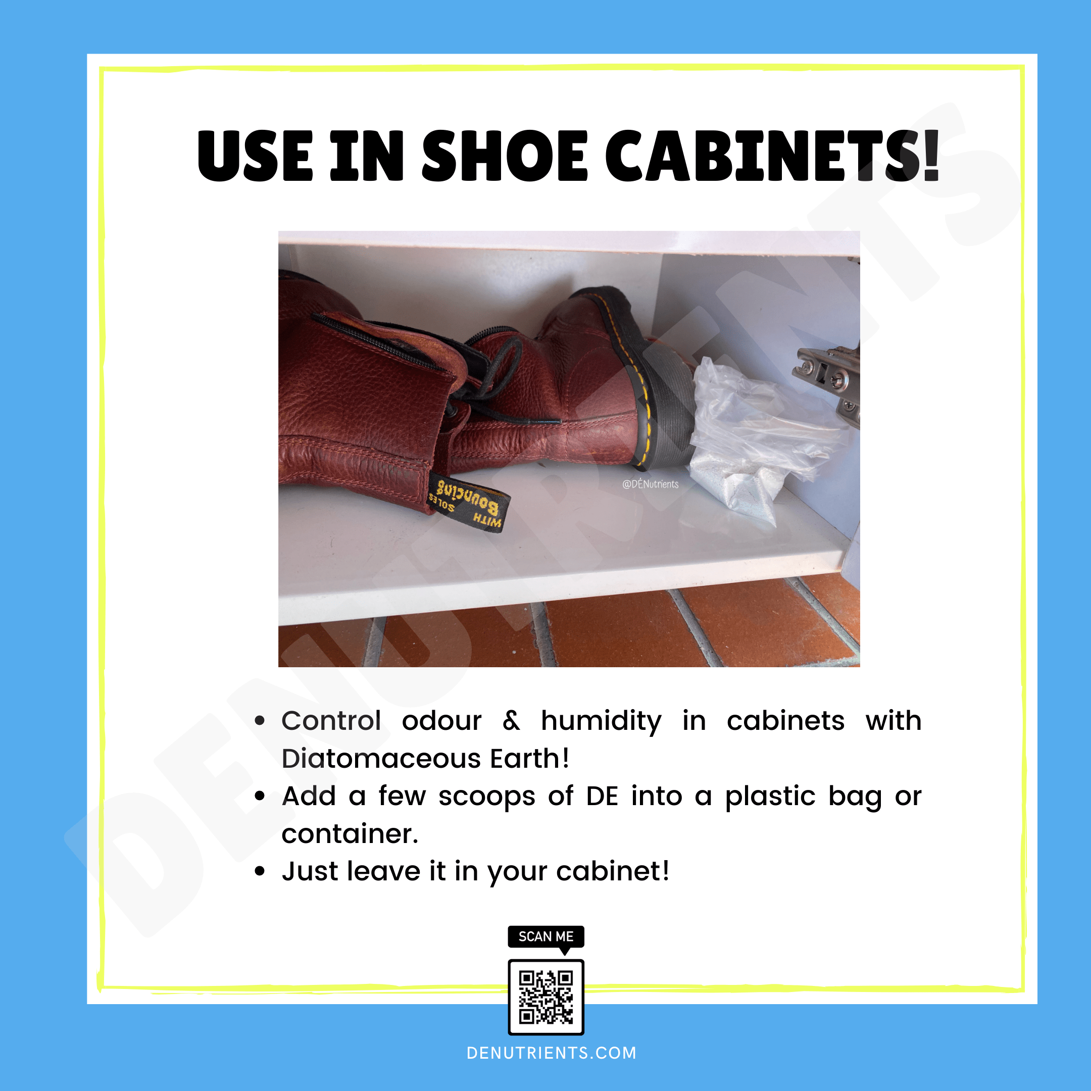 The Wonderful Uses of Diatomaceous Earth Infographic Guide