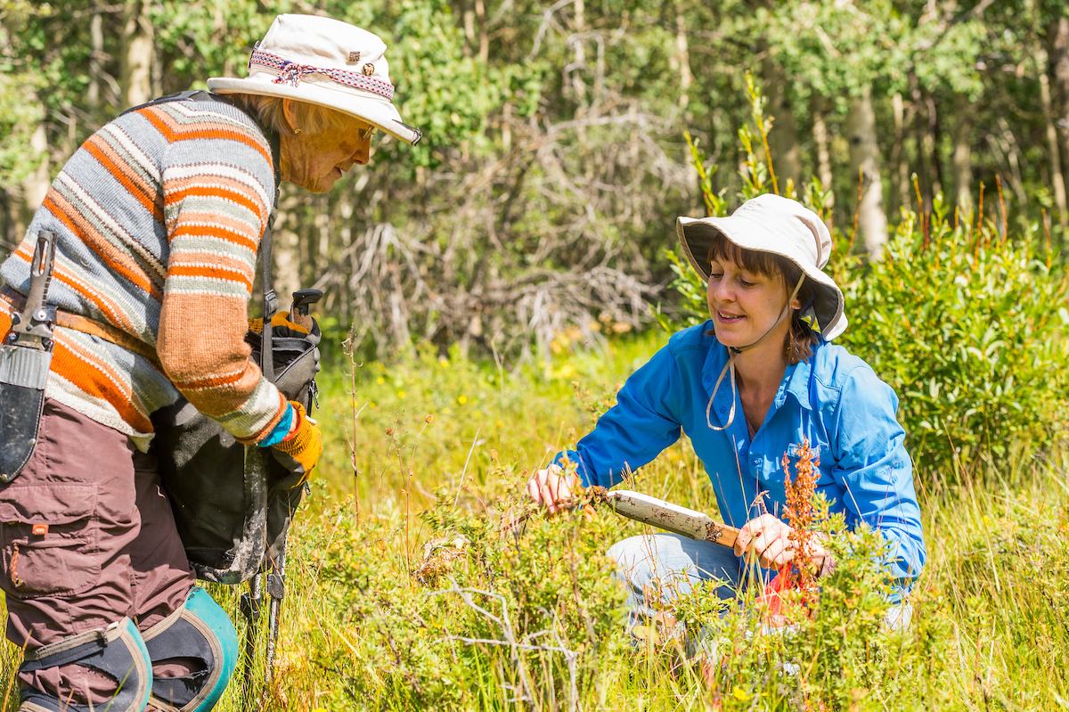 Collecting Plant Specimens
