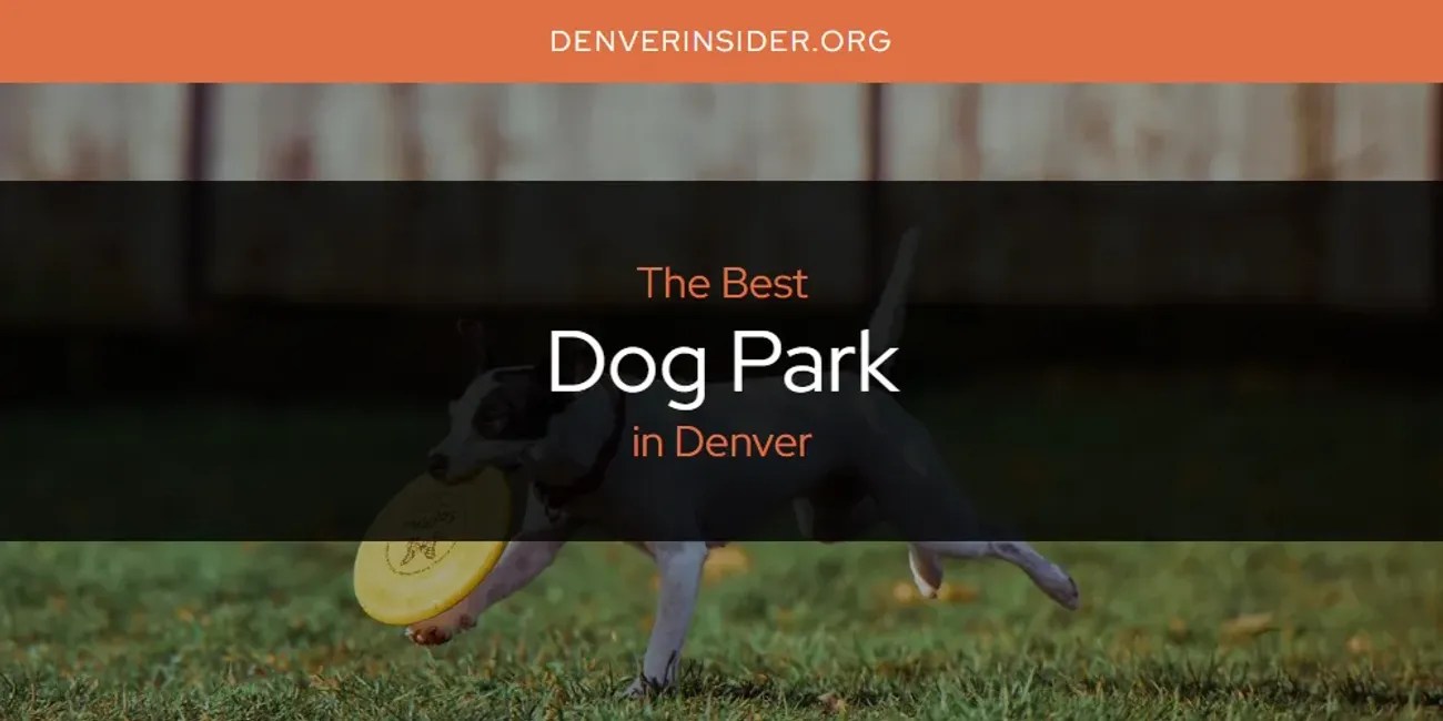 The Absolute Best Dog Park in Denver [Updated 2024] Denver Insider
