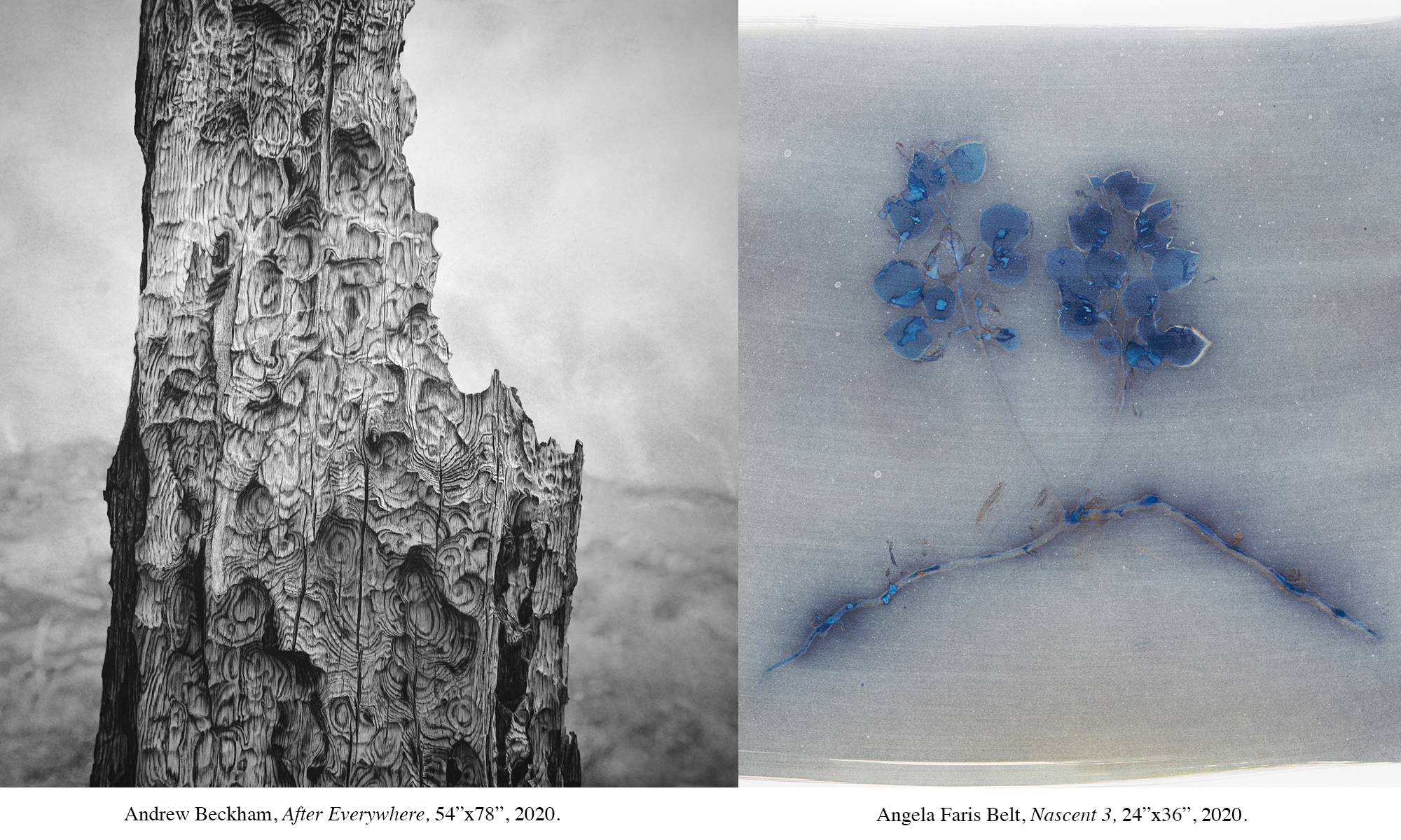 Month of Photography Denver Andrew Beckham, Harbinger Stories from a Burning & Angela