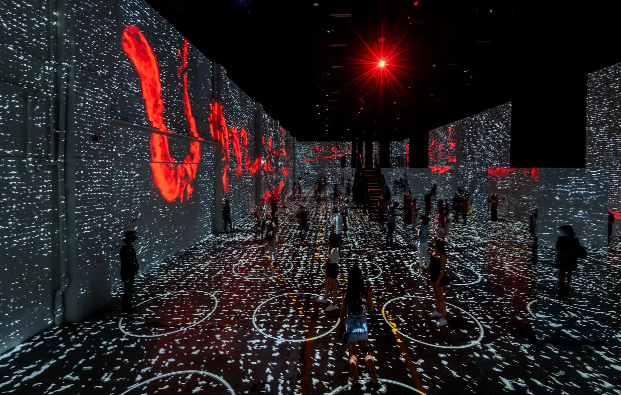 Van Gogh Exhibit Denver The Immersive Experience