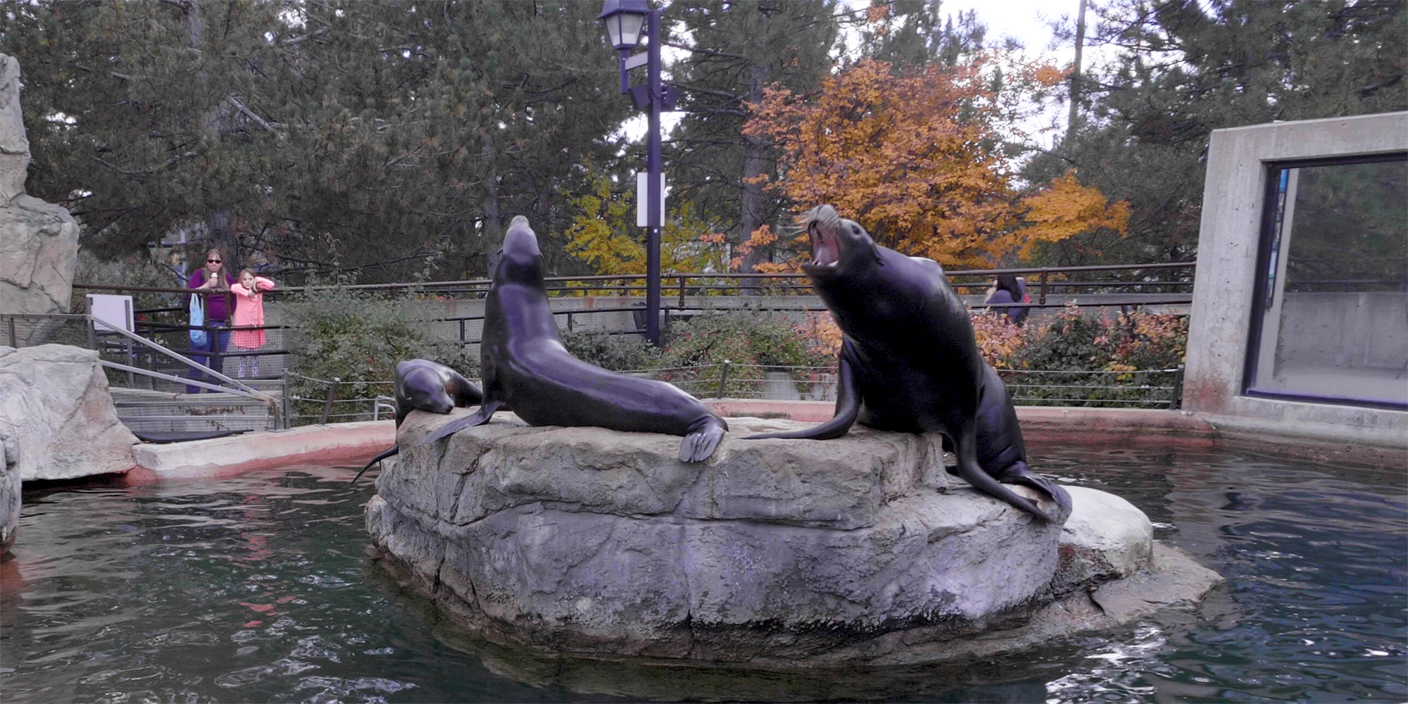 Support the animals at Denver Zoo Denver Zoo
