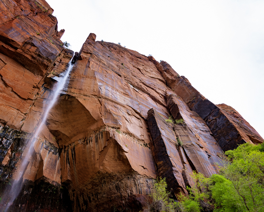 Waiting Out the Rain in Zion