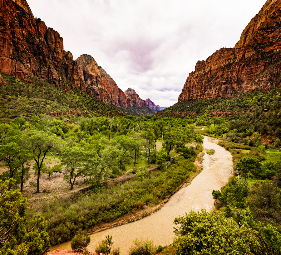 Waiting Out the Rain in Zion