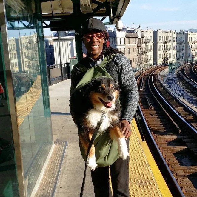 New York Subway Bans Dogs Unless They Fit In a Bag Depend On Dogs