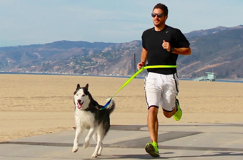 Can You Go Running With Your Dog? Depend On Dogs