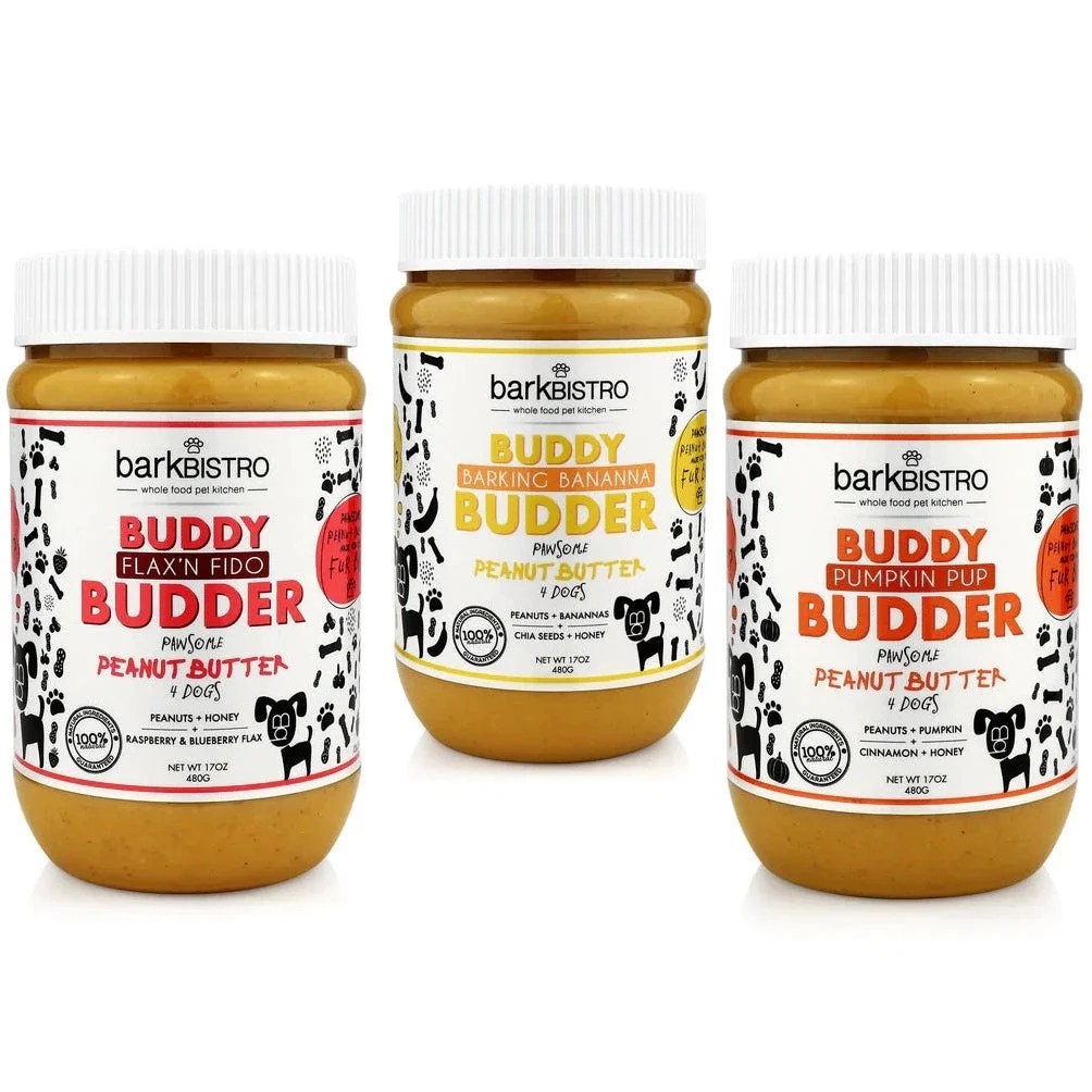 Can Dogs Eat Cashews? Here's What You Need to Know Depend On Dogs