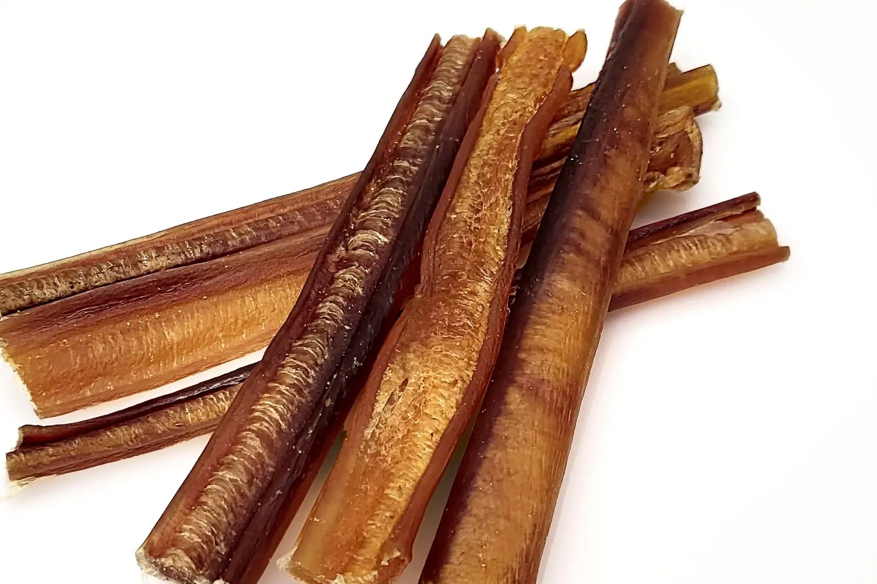 Can Puppies Have Bully Sticks? We Find Out! Depend On Dogs