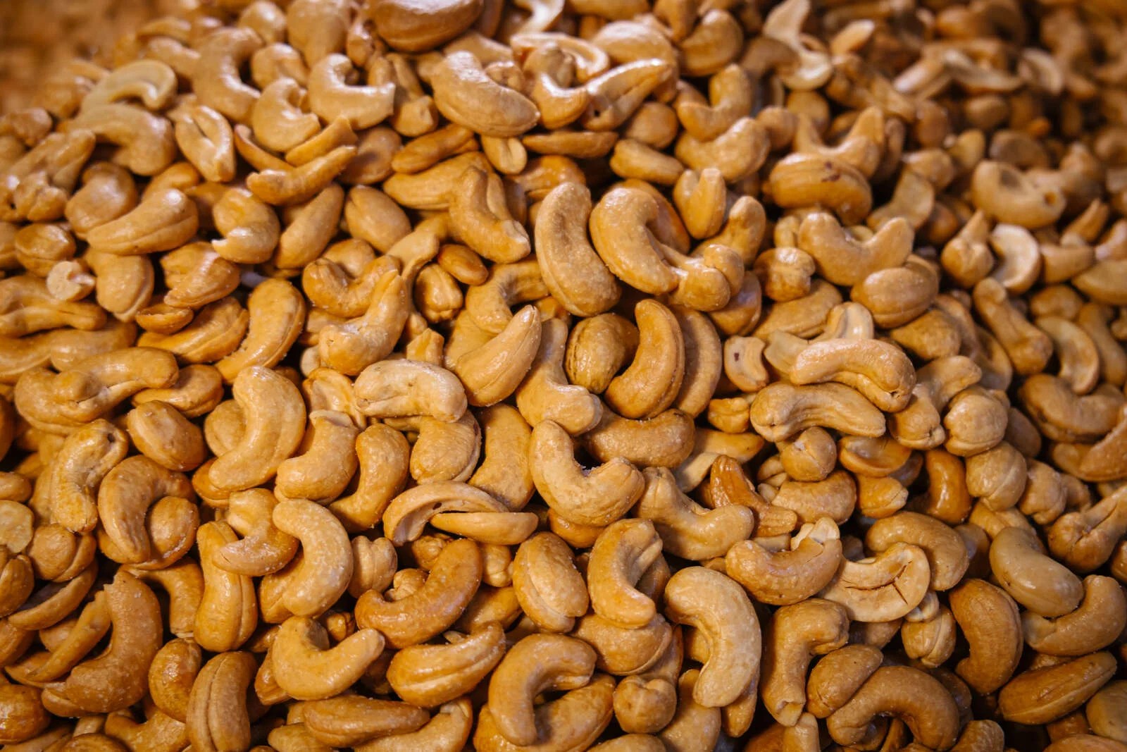 Can Dogs Eat Cashews? Here's What You Need to Know Depend On Dogs