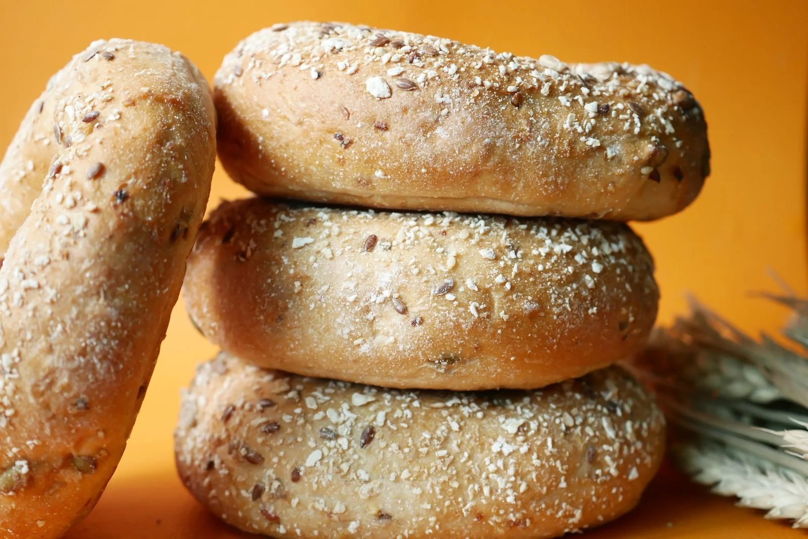 Can Dogs Eat Bagels? Unraveling the Truth Depend On Dogs