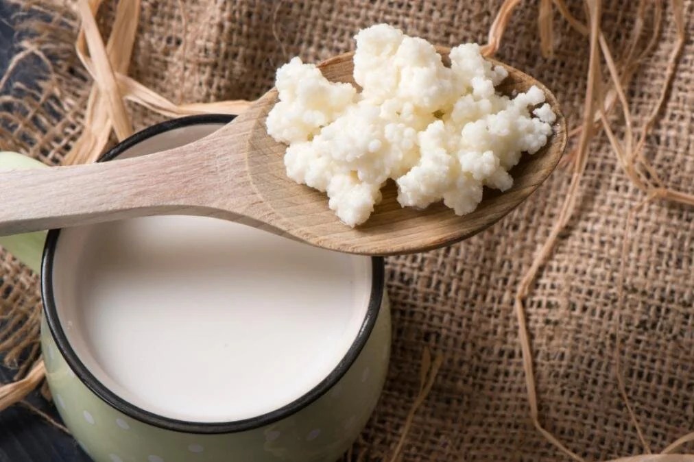 The Benefits of Kefir for Dogs A GutHealthy Superfood Depend On Dogs
