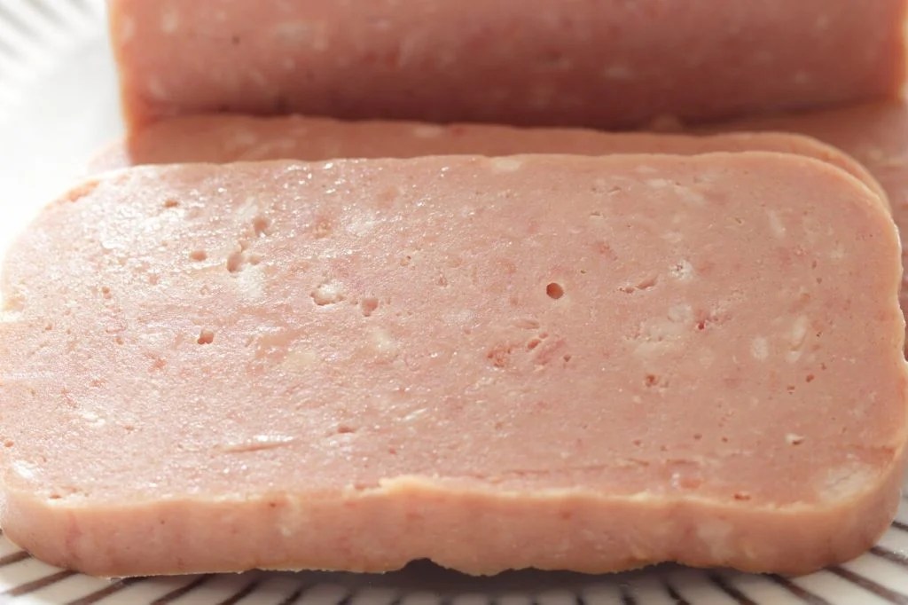 Can Dogs Have Spam As Part of Their Diet? Depend On Dogs