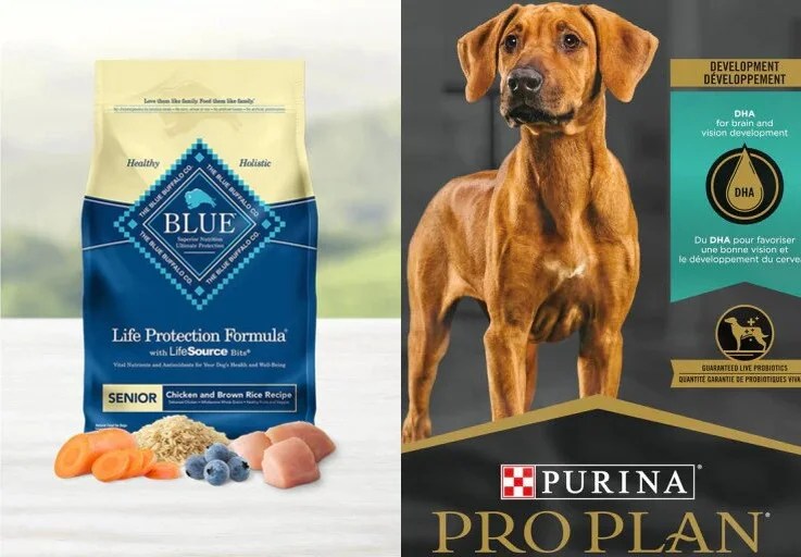 Blue Buffalo vs Purina Pro Plan Compared Depend On Dogs