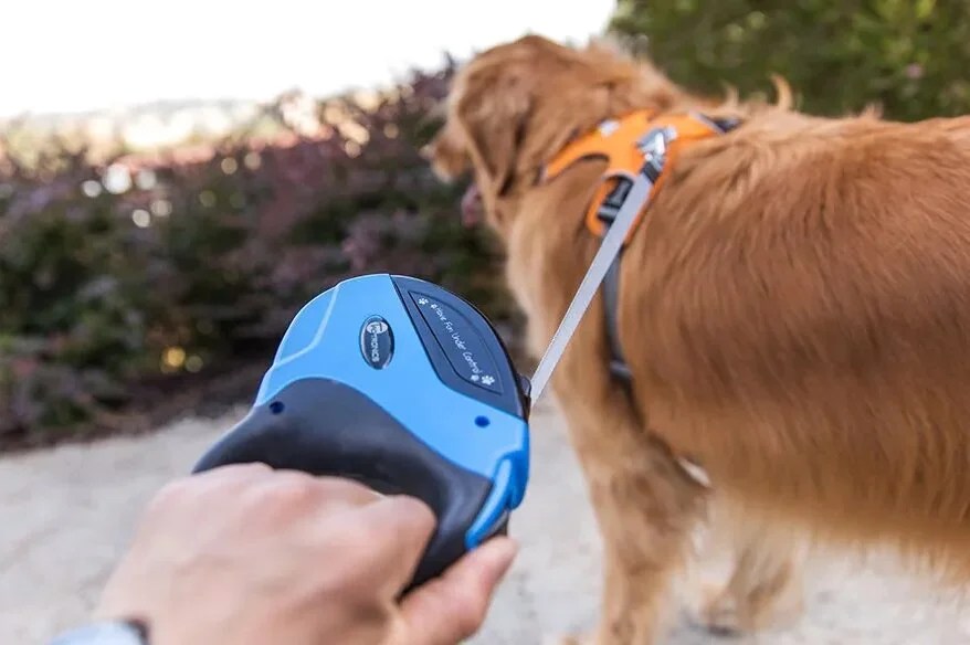 Retractable Leash Dangers What You Need to Know Depend On Dogs